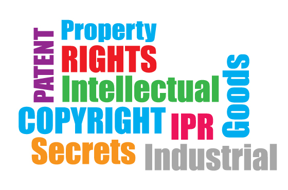 Intellectual Property Rights